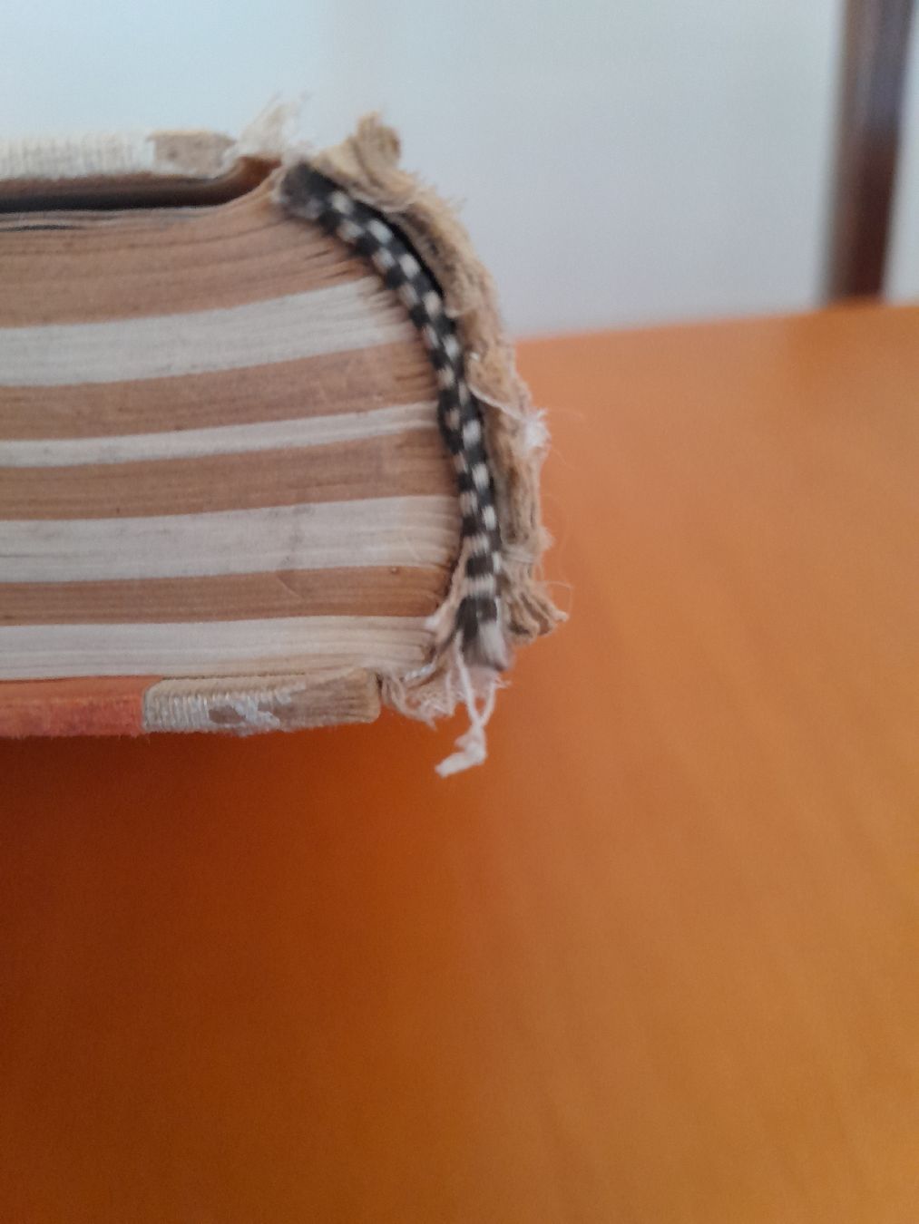 Libri: Buch  schweizer Pferde Buch 1944 – Usato da Oberglatt ZH venduto da juni02 9