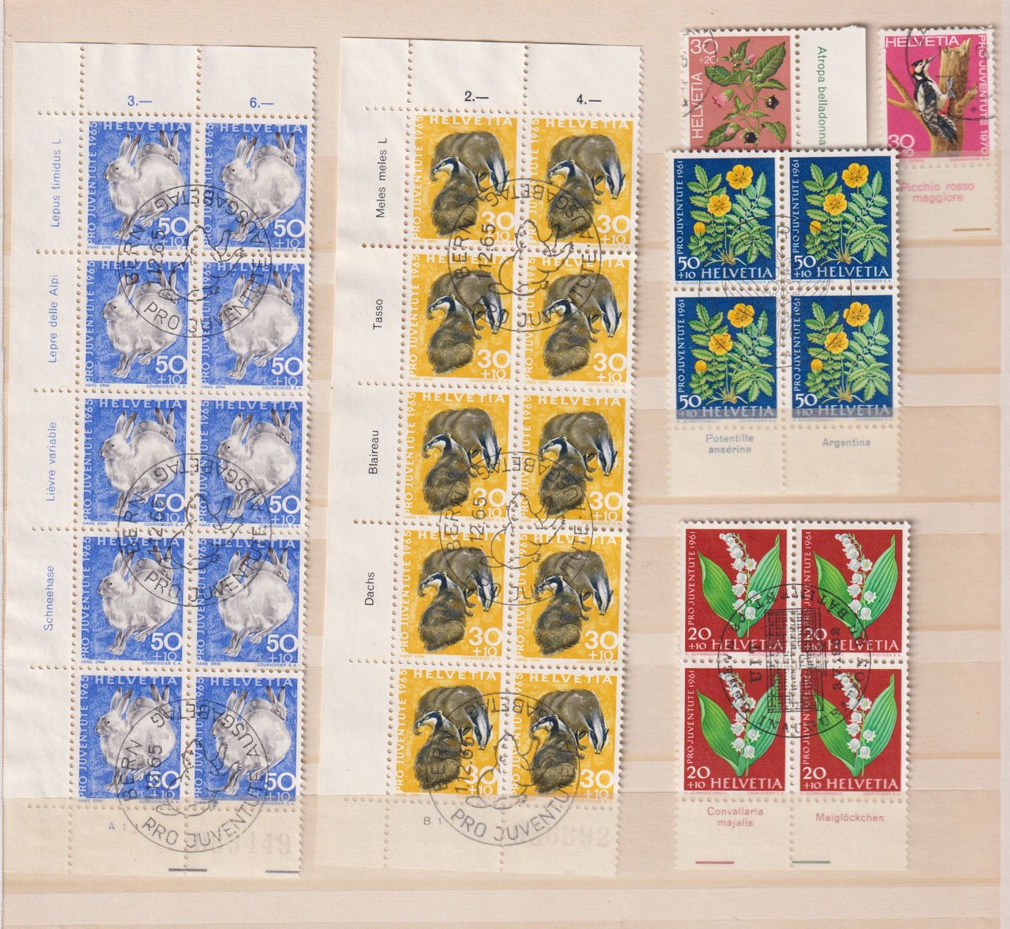 Alle Briefmarken: Grosses Lot PJ mit Tabs. Gest. & ungest. – Gebraucht aus Koblenz von Boerse6 2