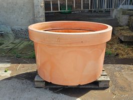 Grosser Blumenkübel 700L