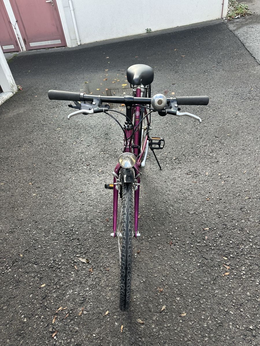 Biciclette: Velo Cobra 26 Zoll  – Usato da Heerbrugg venduto da sha_6bxl 1