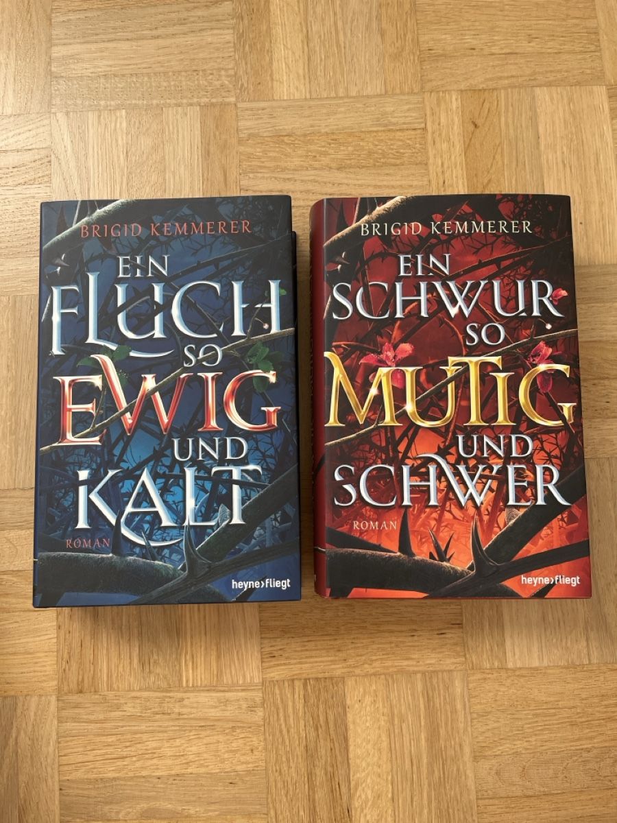 Libri: Brigid Kemmerer Romane 2 Stk. guter Zustand – Usato da Zürich venduto da Kleanthy