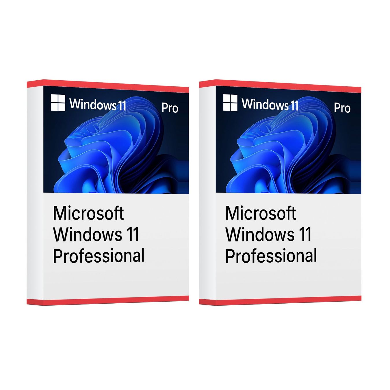 Microsoft Software: Windows 11 Professional (2 keys) – Usato da Vaduz venduto da KeysDistributionGmbH