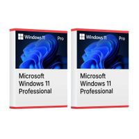 Windows 11 Professional (2 keys)