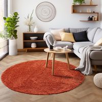 Flauschiger Shaggy Teppich Rund 200 cm - div. Farben 🔝 neu!