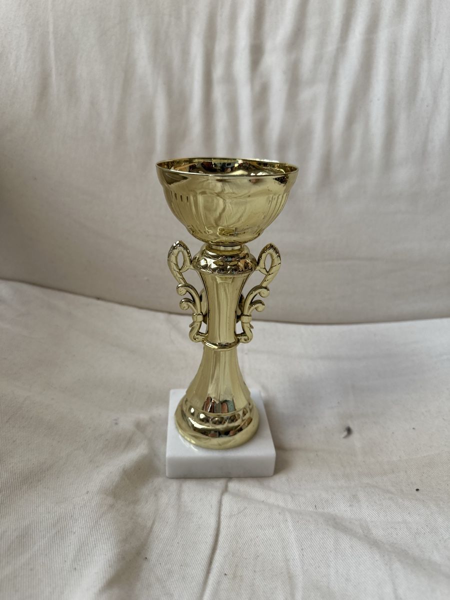 Altre raccolte & rarità: Goldener Pokal – Usato da Basel venduto da ari_f26x 3