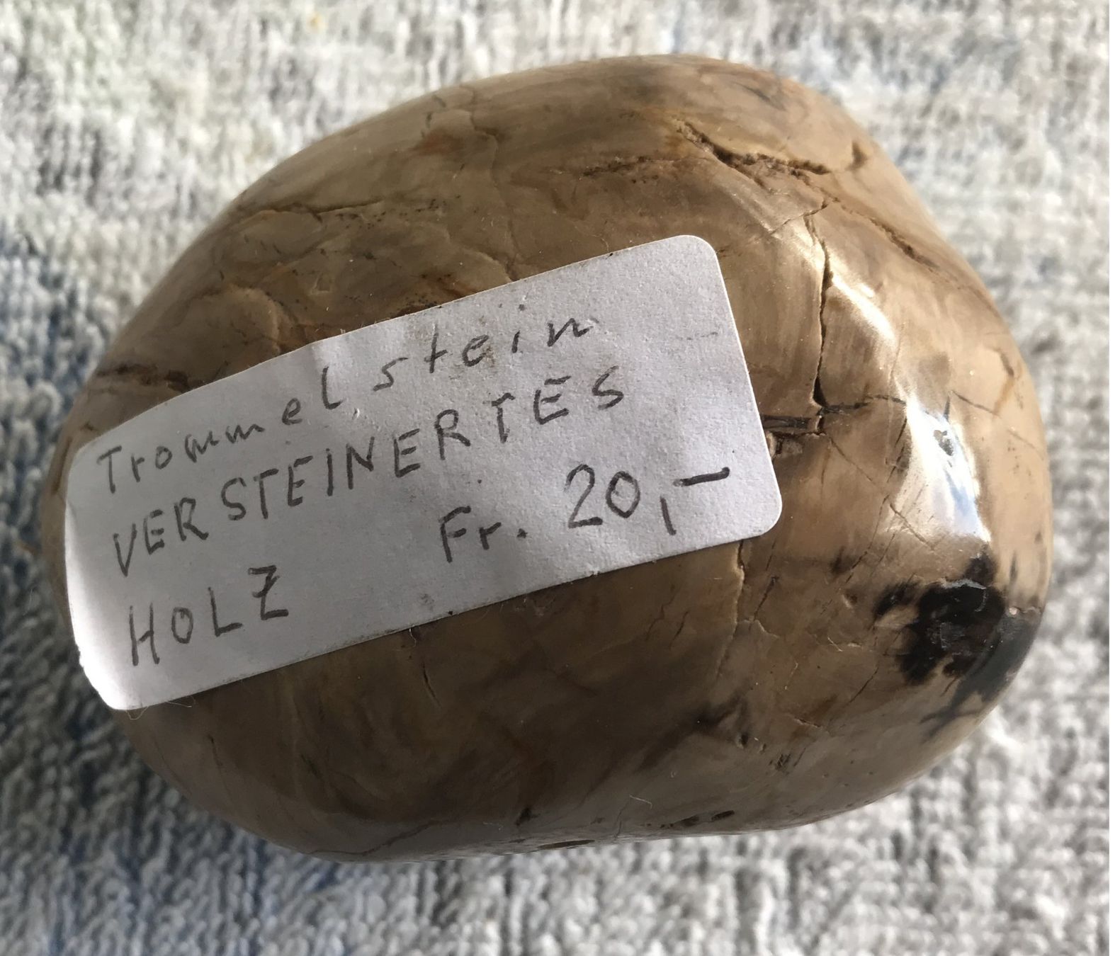 Fossili: VERSTEINERTES HOLZ – Usato da Ostermundigen venduto da Kari1937
