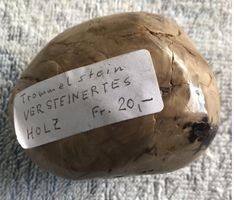 VERSTEINERTES HOLZ