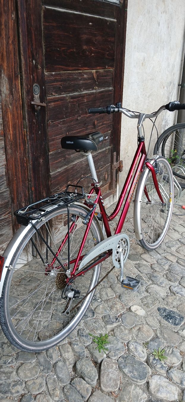 Cilo Velos: Cilo city velo RUBI – Gebraucht aus Adliswil von trujillo01 7