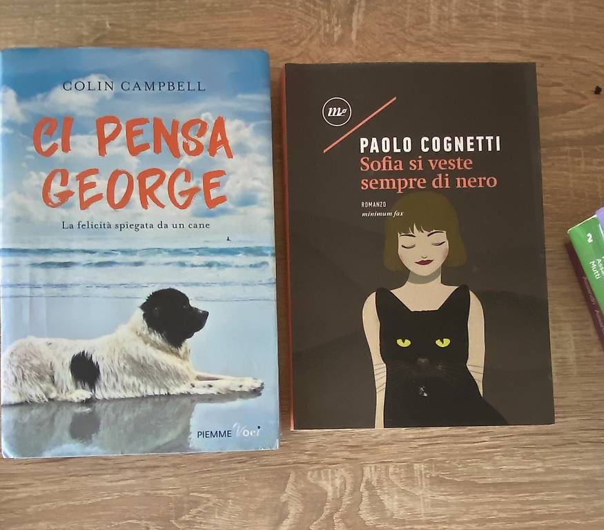 Libri:  Libri in vendita – Usato da Ligornetto venduto da val_z7dy