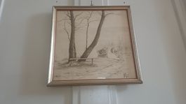 Schönes Naturbild 