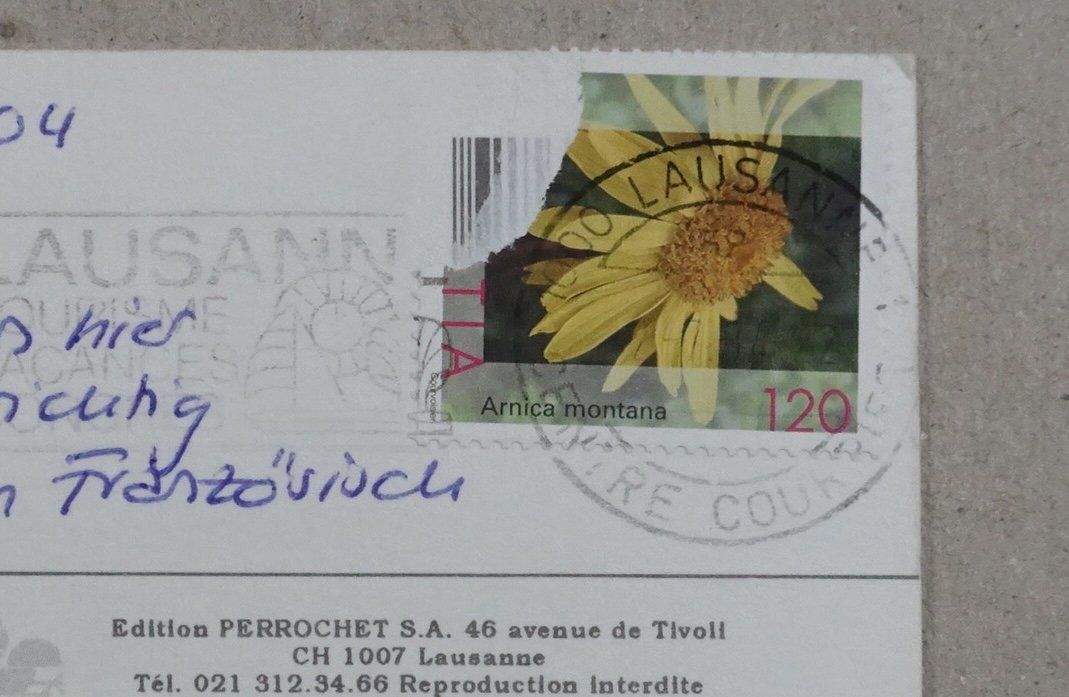 Cartoline postali: Lausanne, 2004, Cathédrale – Usato da Lenzburg venduto da fh1 1