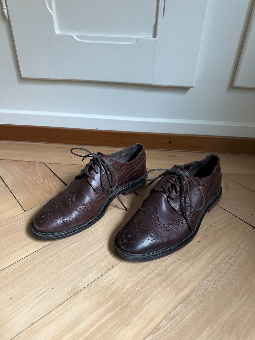 Chaussures hommes: COX - Leder Budapester Halbschuhe braun 41 – D'occasion à Zürich par Diazaio