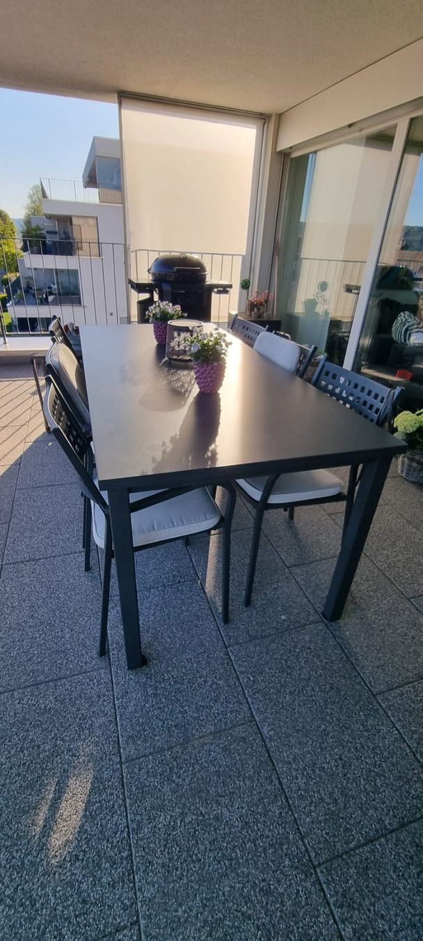 Set de table et chaises: Gartentisch mit 6 Stühlen (Metall) – D'occasion à Buchs ZH par Kasimir007 1