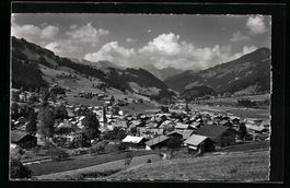 AK Zweisimmen /Simmental, Teilansicht