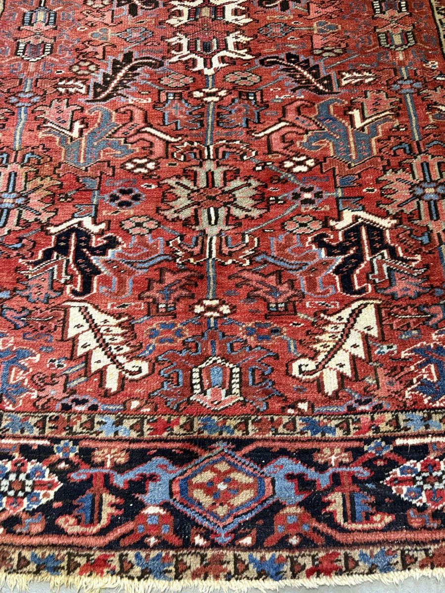 Tappeti: Perserteppich handgeknüpft 256x205 cm – Usato da Büron venduto da Filadefia-888 4