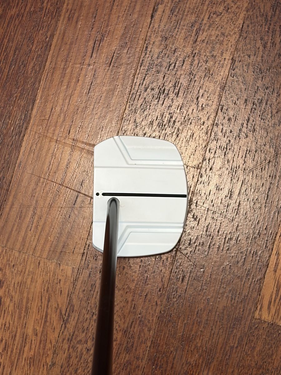 Ping Mazze & Set: Ping ally blue onset putter 34 inch – Usato da Emmenbrücke venduto da mel_5wf2