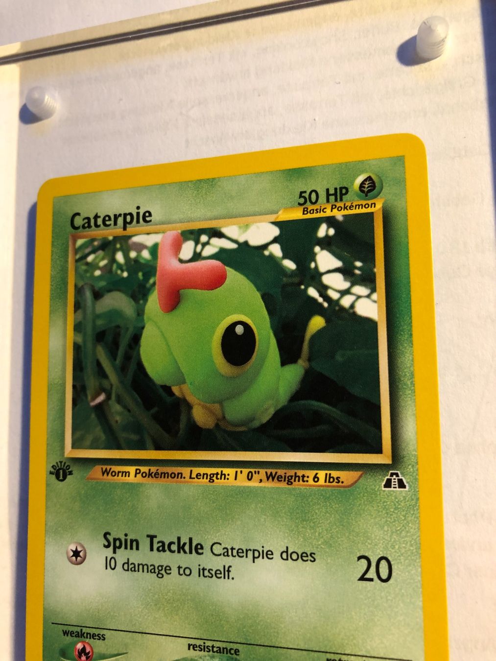 Sammelbilder & Trading cards: Caterpie 1st Neo Discovery - MINT - ab 1.- – Gebraucht aus Giubiasco von dan_pr8b 3