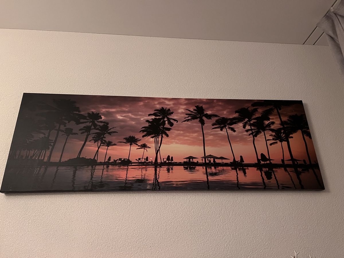 Poster & Bilder: Keilrahmenbild mit strand und palmen – Gebraucht aus Root von Fashionhomeandmore