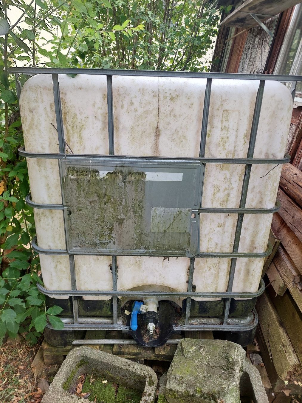 Abreuvoirs & Auges: Wassertank – D'occasion à Hinwil par Floflufla
