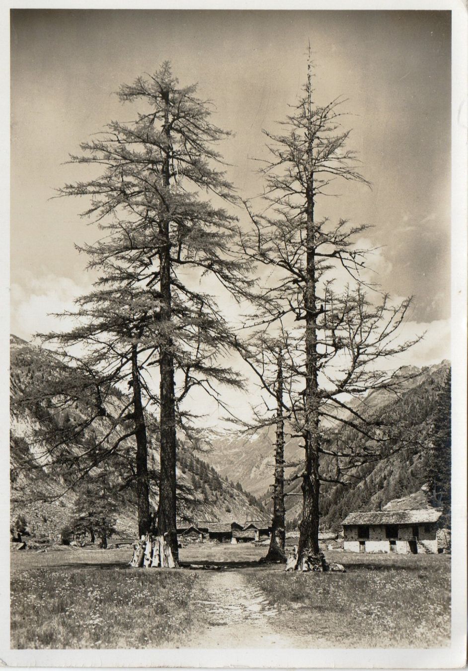 Cartes postales: Fusio - Val Sambuco – D'occasion à Melano par pisonsdro