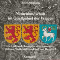 Buch Hergiswil LU Willisau Stadt + Land Umgebung 1984 Bücher