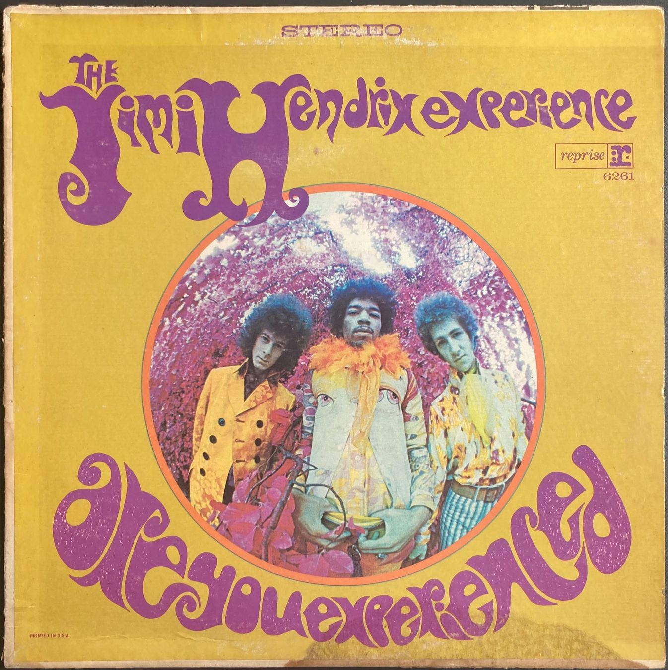 Dischi in vinile: THE JIMI HENDRIX EXPERIENCE - ARE YOU EXPERIENCED? – Usato da Poliez-Pittet venduto da Newtown-Records