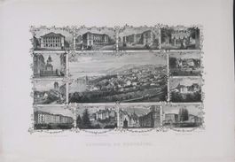 Neuchâtel Souvenir Stahlstich