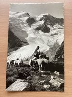 AK Sustenstrase , Tierberge, Schafhirt, Susten BE