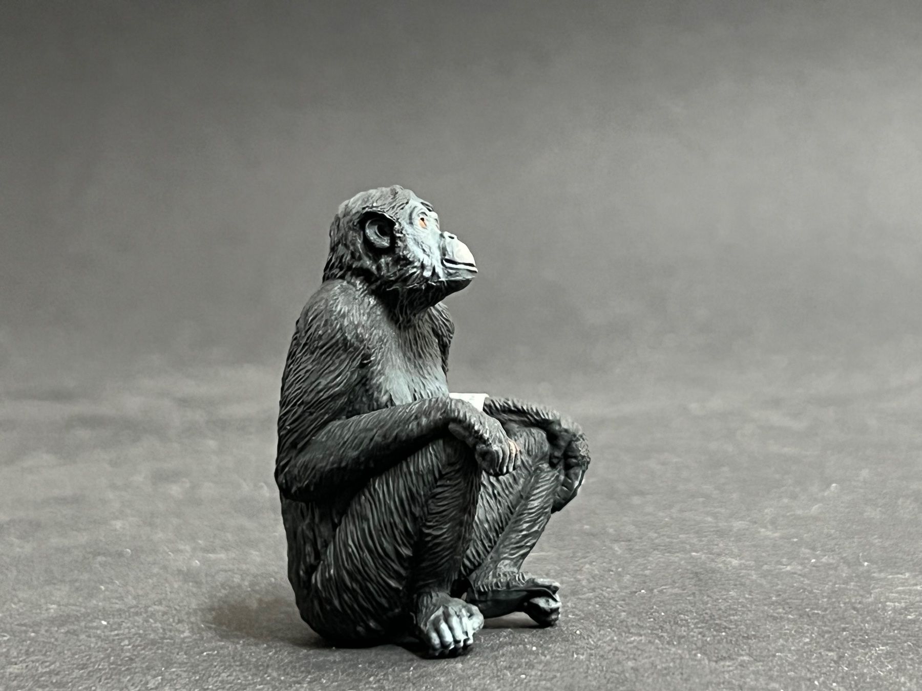 Schleich Statuette: Schleich Bonobo Weibchen Affe NEU – Nuovo (secondo la descrizione) da Ennetbaden venduto da mapa05 3