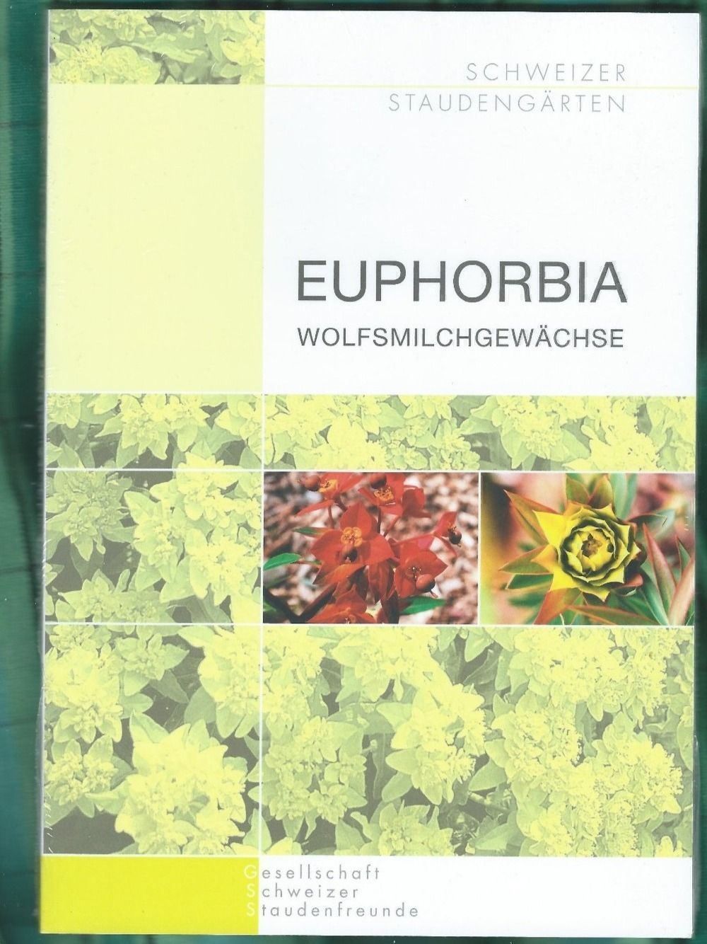 Libri: Euphorbia, Wolfsmilchgewächse – Nuovo e nell'imballaggio originale da Zürich venduto da t24_de