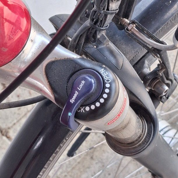 Cresta Biciclette: rotes Damenvelo Cresta Giro – Usato da Schwerzenbach venduto da MyGarageSale 2