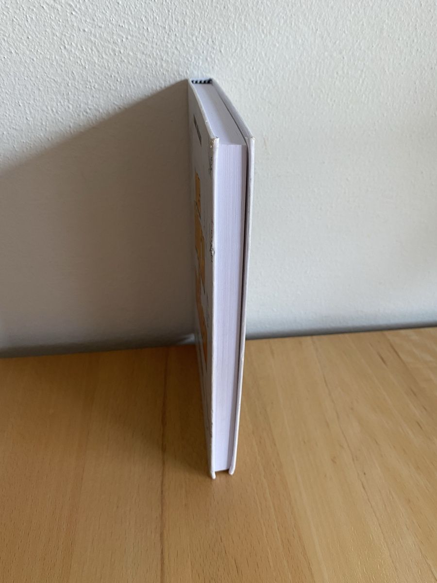Bücher: Das Buch der Helden - Dominik Brülisauer – Gebraucht aus Schwarzenburg von Michellu 3