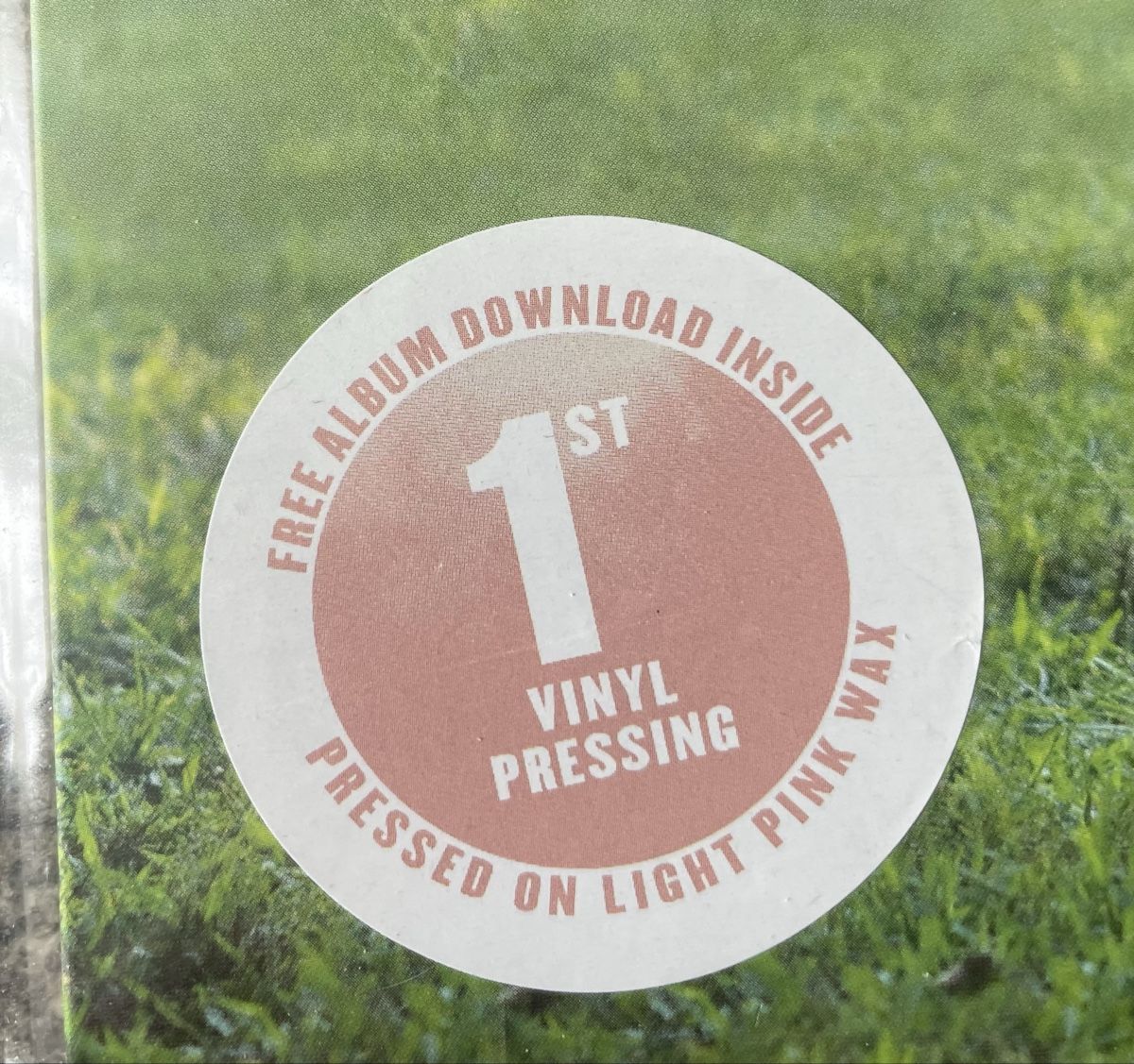 Dischi in vinile: Matraca Berg - The dreaming fields - Vinyl LP – Usato da Olten venduto da Bluespapst 2