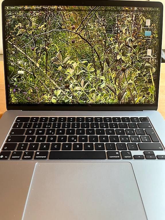 Apple Notebook: MacBook Air 2025 – Usato da Corgémont venduto da ivia71 1