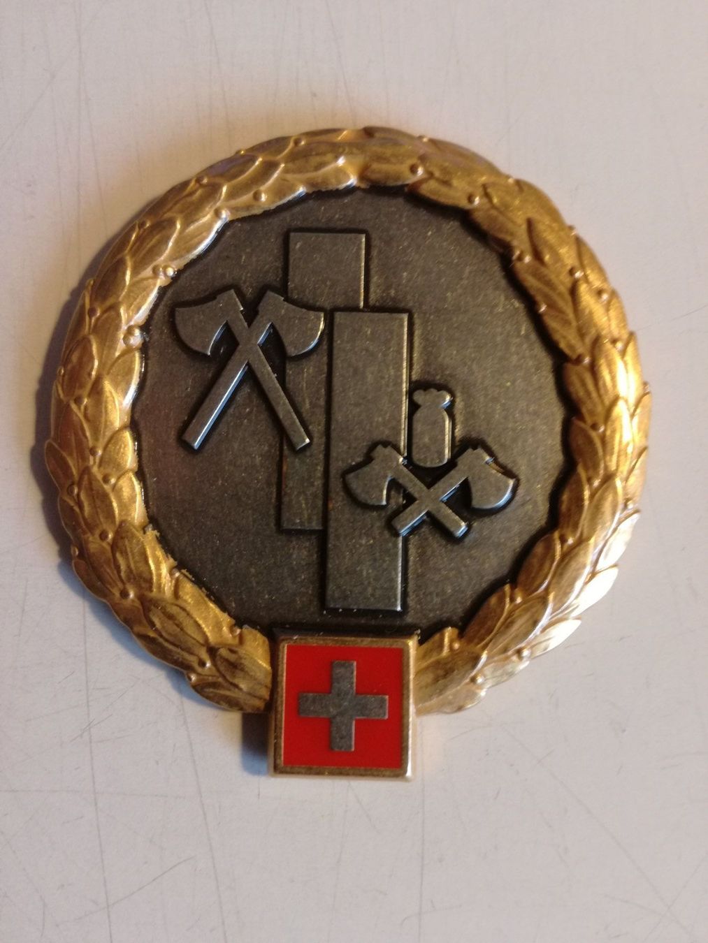 Schweizer Armee Plaketten & Abzeichen: Beret Abzeichen LVb G/Rttg – Gebraucht aus Sursee von Ursus_LU