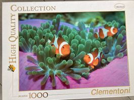Puzzle Clown Fische