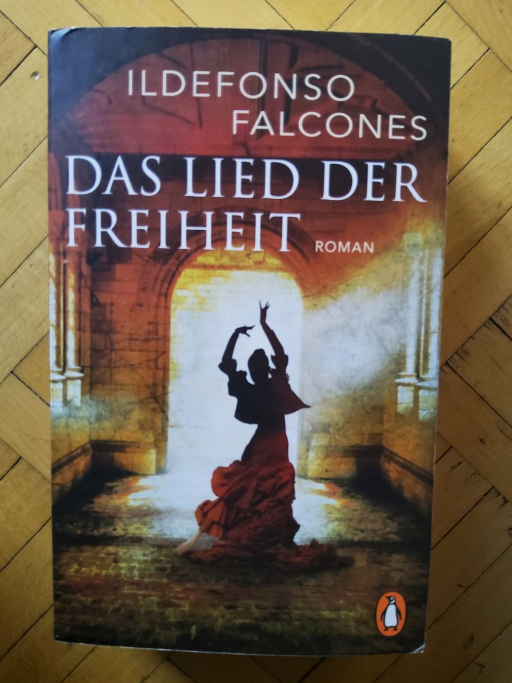 Libri: Ildefonso Falcones Das Lied der Freiheit – Usato da Arosa venduto da horseracing