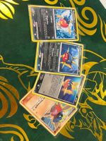 Pokemon Kanivanha 2007-2009 Bundle