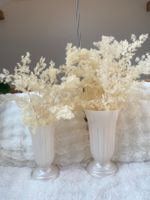 2x Vasen Perlmutt Getrockneter Federspargel Shabby Chic