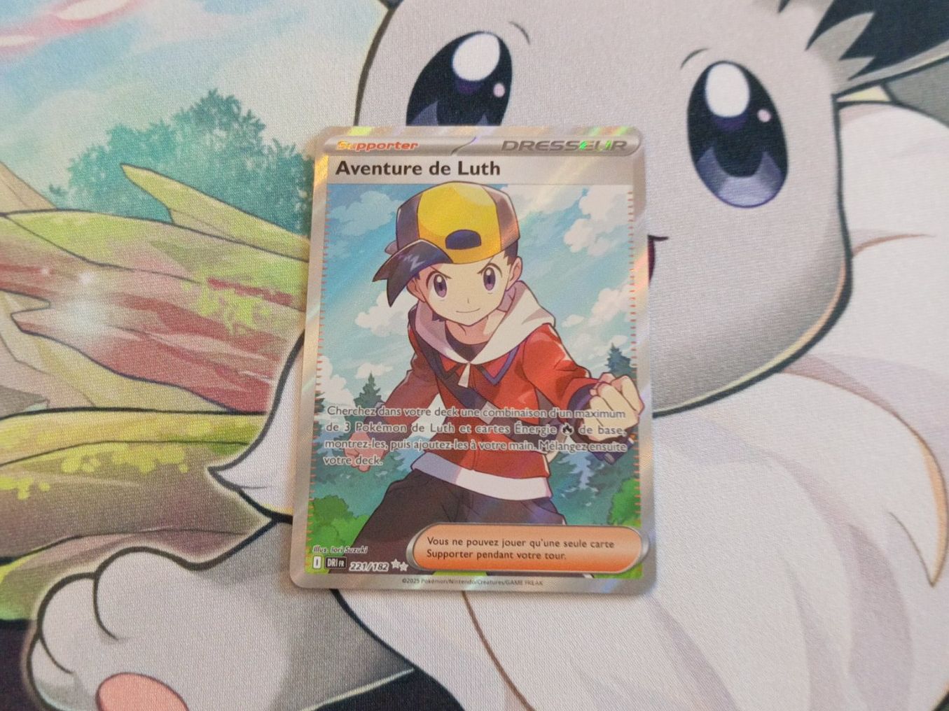 Pokémon Carte collezionabili: Carte Pokémon Aventure de Luth 221/182 Ev10 FR – Nuovo (secondo la descrizione) da Worben venduto da HartiMariem