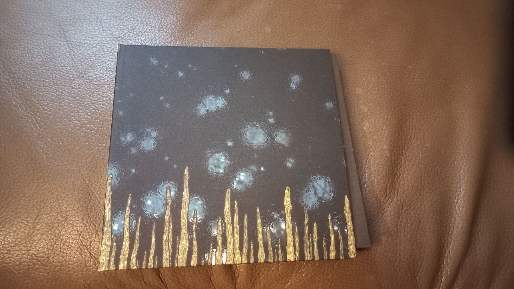 CDs: Isis-Weavering...CD Doom Metal – Gebraucht aus Olten von Donatello1984