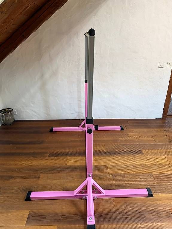 Giocattoli: Kinder Turnreck höhenverstellbar Rosa/Grau – Usato da Unterendingen venduto da Marillendax 2