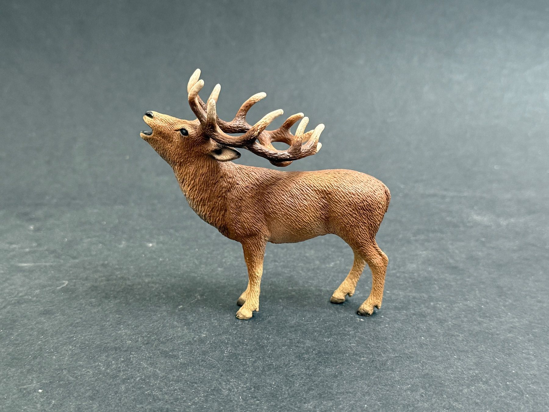 Schleich Statuette: Schleich 14647 Rothirsch Hirsch – Usato da Ennetbaden venduto da mapa05