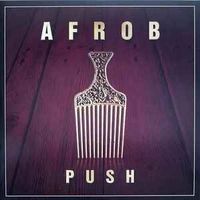 Afrob ‎– Push (2XLP)