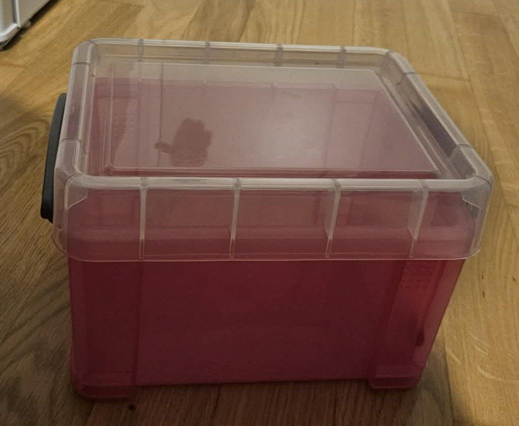 Contenitori & Simili: Really Useful Box Kunststoffboxen 0,3 Liter Rosa – Nuovo (secondo la descrizione) da Muttenz venduto da Gepard23 2