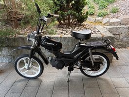 Pony 521 Cross | Schwarz
