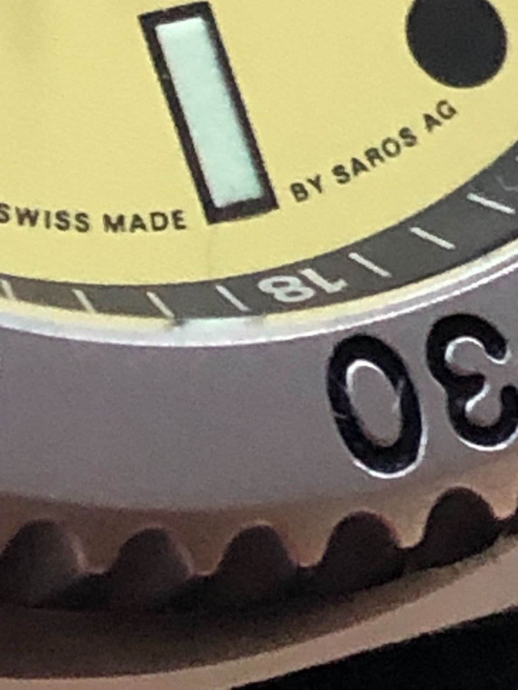 Orologi: Greenpeace Automatic Grandrécit TDM – Usato da Zeihen venduto da Swissmade 3
