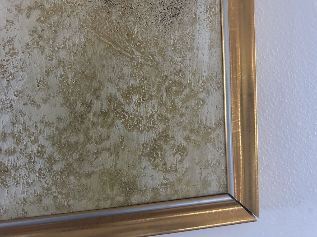 Tableaux: Gemälde Bild – D'occasion à Dietikon par moradi24 2