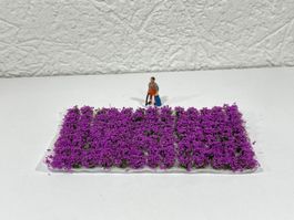 104 kleine Lavendel Sträucher, Blumenfeld, H0, Neu
