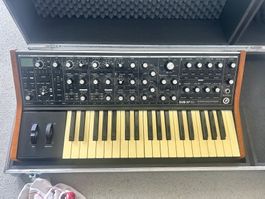 Moog Sub 37 – Bob Moog Tribute Edition | mit Hardcase